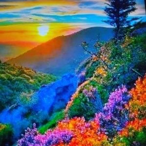 Meet your Posher, Michaele